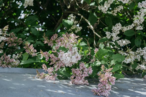 Découvrez le moment parfait pour vendre votre maison : guide pratique et conseils essentiels !