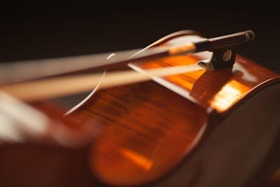 Tout savoir sur les archets de violon : types et prix